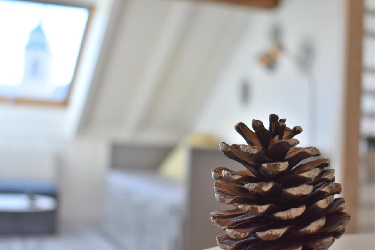 Charmant Studio, Le Petit Gris Des Montagnes Mouthe Zewnętrze zdjęcie